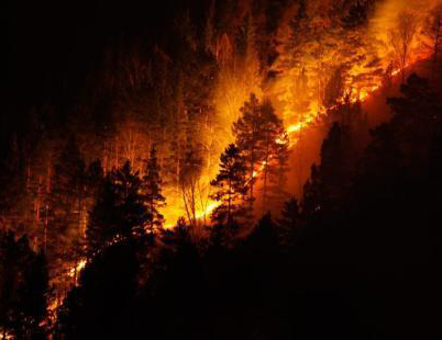 无人机在森林防火中的用途