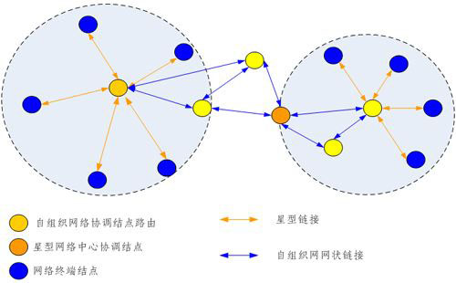 无线自组织网络相较于传统无线网络更具哪些优势？